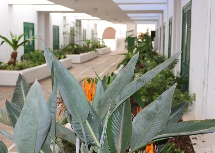 Balancon Duplex El Médano