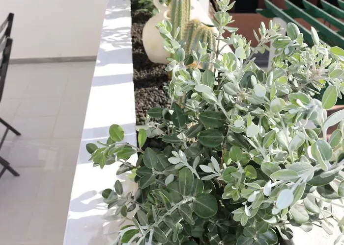 Balancon Duplex شقة